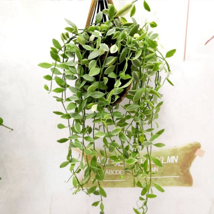 Hanging%20Orchid%20Planter%20Bamboo%20Woven%20Orchid%20Hanging%20Baskets%20with%20Metal%20Hook%20Plant%20Hangers%20for%20Indoor%20Outdoor%20Small%20Flower%20Planter%20-%20Image%205