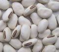 Konch Seeds • Tukhm Konch | Velvet Bean |  250 gm. 