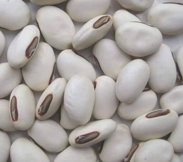 Konch%20Seeds%20%E2%80%A2%20Tukhm%20Konch%20%7C%20Velvet%20Bean%20%7C%20%20250%20gm%20-%20Image%203