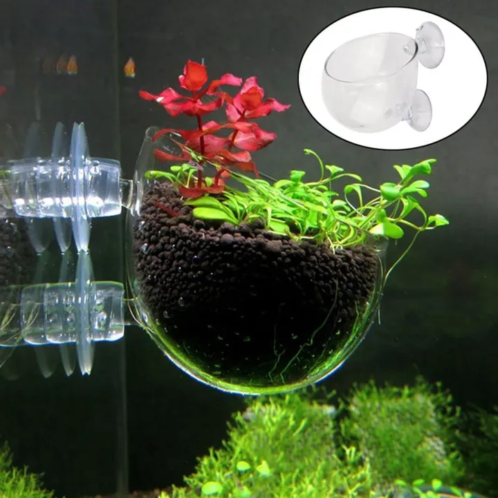 Acrylic%20Aquatic%20Plant%20Cup%20Aquarium%20Fish%20Tank%20Glass%20Plant%20Pot%20with%20suction%20holder%20Feeding%20Container%20Stand%20for%20Aquarium%20Lanscape%20-%20Image%206