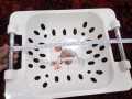 Malamin Fruit Basket and Tray set. 