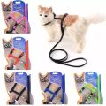 cat harness.