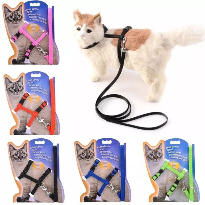 cat%20harness%20-%20Image%202