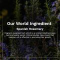 Pilgrim Spanish Rosemary & Biotin Anti-Hairfall Conditioner 200 ml. 