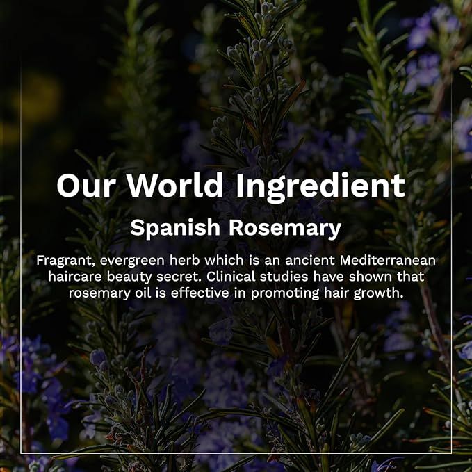 Pilgrim%20Spanish%20Rosemary%20&%20Biotin%20Anti-Hairfall%20Conditioner%20200%20ml%20-%20Image%205