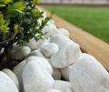 White big Pebbles/ Stones for Garden and
Aquarium 1 kg pack. 