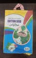 Cotton Seed FH Tri-star, Triple gene, high potential,suitable for tunnel. 