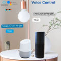 16A Israel Smart Plug WIFI Socket Bluetooth USB ISR IL Outlet-Voice Timer Remote-Tuya/Alexa/IFTTT/ Life Home Automatio. 