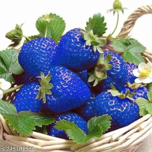 MIXED%20White,Yellow,Red,purple%20Color%20Strawberry%20Seeds%20-30pcs%20-%20Image%203