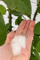Epsom Salt - 100 gram Pack - Magnesium Sulfate For Plant - ইপসম সল্ট. 