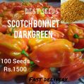 Nai miris / scotch bonnet darkgreen (seeds100). 