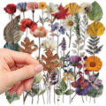 50Pcs Cute Plant Stickers Plant Specimen Decals For Phone Laptop Suitcase Notebook Skateboard Waterproof Sticker.