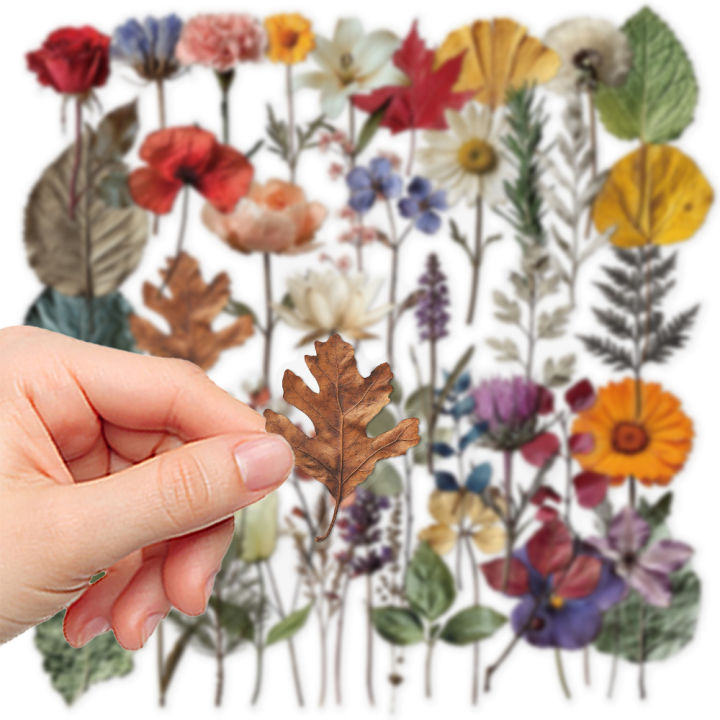 50Pcs%20%20Cute%20Plant%20Stickers%20Plant%20Specimen%20Decals%20For%20Phone%20Laptop%20Suitcase%20Notebook%20Skateboard%20Waterproof%20Sticker%20-%20Image%203