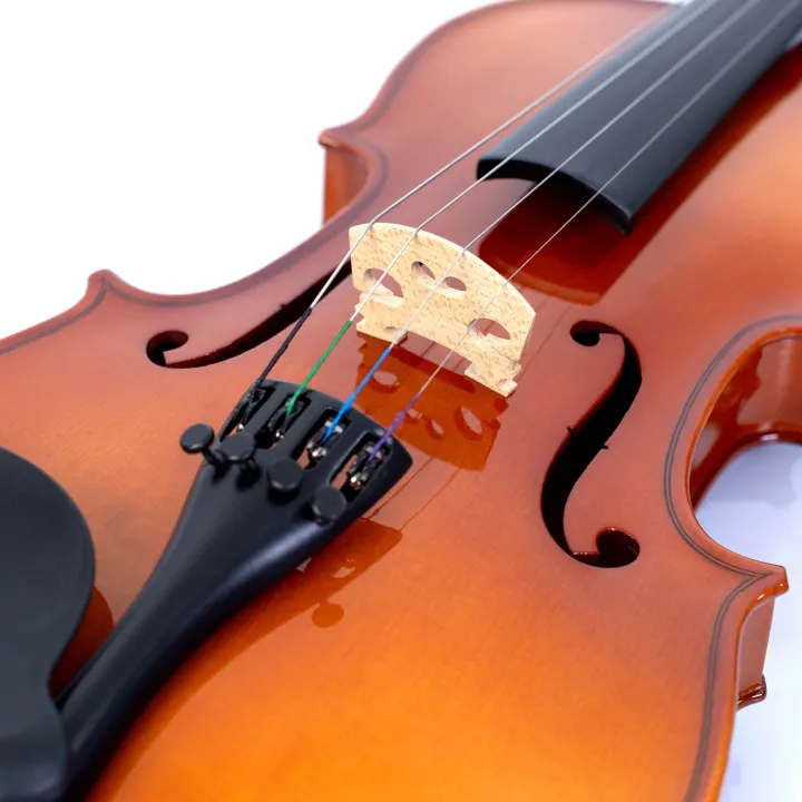 Skylark%204/4%20Solid%20Violin%20with%20Blue%20Case%20-%20Image%204