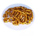Pigeon Foot Ring 8mm with Numbers Aluminum Plastic Bird Foot Ring Multicolor  Training Tool Ankle rings 10/20/30/50/100pcs. 
