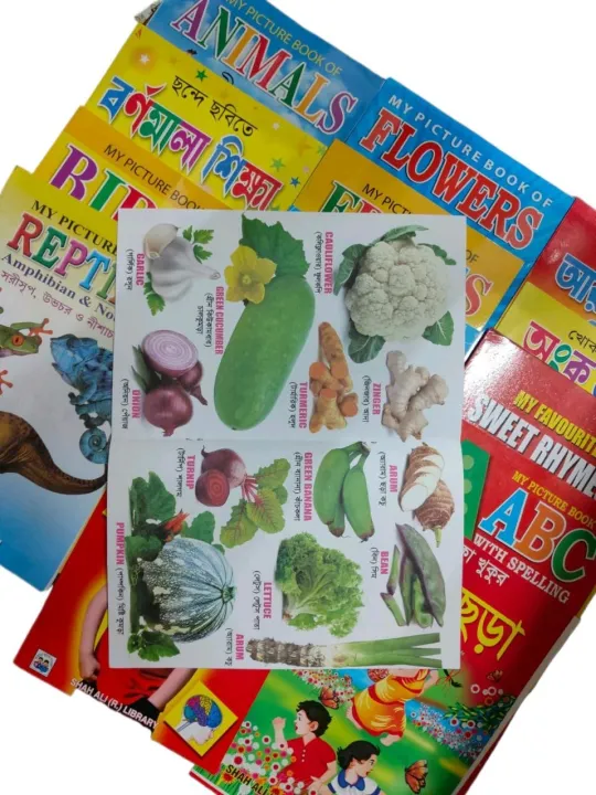 %E0%A6%9B%E0%A7%8B%E0%A6%9F%20%E0%A6%AC%E0%A6%BE%E0%A6%9A%E0%A7%8D%E0%A6%9A%E0%A6%BE%E0%A6%A6%E0%A7%87%E0%A6%B0%20%E0%A6%AA%E0%A7%8D%E0%A6%B2%E0%A6%BE%E0%A6%B8%E0%A7%8D%E0%A6%9F%E0%A6%BF%E0%A6%95%E0%A7%87%E0%A6%B0%20%E0%A6%AA%E0%A6%A1%E0%A6%BC%E0%A6%BE%E0%A6%B0%20%E0%A6%AC%E0%A6%87%20(%E0%A6%8F%E0%A6%95%20%E0%A6%B8%E0%A7%87%E0%A6%9F%20%E0%A7%A7%E0%A7%AA%20%E0%A6%9F%E0%A6%BF)%20-%20Image%202