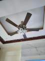 Usha Fontana Maple 1250mm/50” Ceiling Fan (Antique Brass).