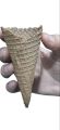 Ice-Cream (100 pieces) Cone Wafer Biscuits. 