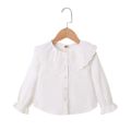 Kids Girl 1-6Y Button T Shirt Hollow Lace Collar White Long Sleeved Lovely Korean Version Top Autumn Toddler Girl Clothes.