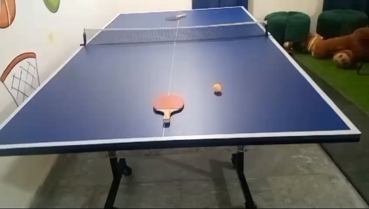 MM Professional Butterfly Table Tennis Table 8 Wheels Standard Size 9x5 ...