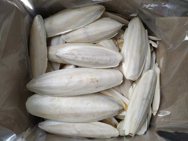 Natural%20Bird%20Cuttlefish%20Bone%20%7C%20High%20Calcium%20Food%20for%20Birds%20(100g)%20%7C%20%E0%A6%AA%E0%A6%BE%E0%A6%96%E0%A6%BF%E0%A6%B0%20%E0%A6%95%E0%A7%8D%E0%A6%AF%E0%A6%BE%E0%A6%B2%E0%A6%B8%E0%A6%BF%E0%A6%AF%E0%A6%BC%E0%A6%BE%E0%A6%AE%20%E0%A6%AB%E0%A7%81%E0%A6%A1%20%7C%20Lovebird,%20Budgie,%20Cockatiel%20Calcium%20Supplement%20-%20Image%205