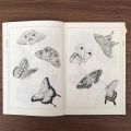 Adult Coloring Book 94 Pages Hundred Butterflies Chinese Line Drawing Collection Stress Relief And Relaxation Art Painting Book. 