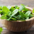Mint Leaves Pudina Powder 100gm. 