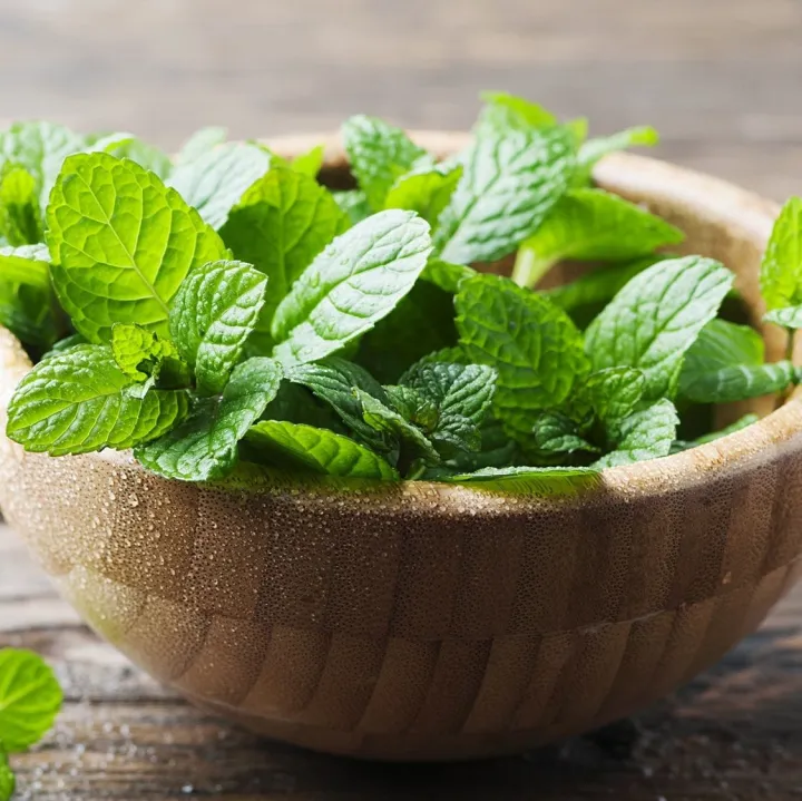 Mint%20Leaves%20Pudina%20Powder%20100gm%20-%20Image%203