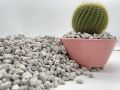 PUMICE STONE /10 kg / FOR 🌵 Cactus , succulent, drainage , lightweight concrete aggregate & bonsai soil mix. 