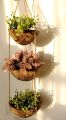 Set of 6 Hanging Coconut Planter Set w/ Drainage Hole- Perfect for Succulents, Flowers, Small Plants, Indoor & Outdoor Gardens- Handcarved by Artisans, Eco-Friendly & Sustainable. 