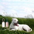 Color Pet Trash Boxes Cat Dog Pickler Society Portable Waste Plaster Cleaning Products Home Pet Out Storage Box (Random One).