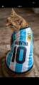 Argentina Brazil 2026 world cup cat jersey. 