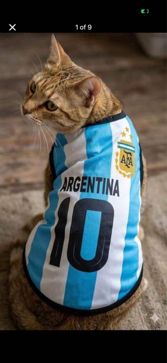 Argentina%20Brazil%202026%20world%20cup%20cat%20jersey%20-%20Image%204
