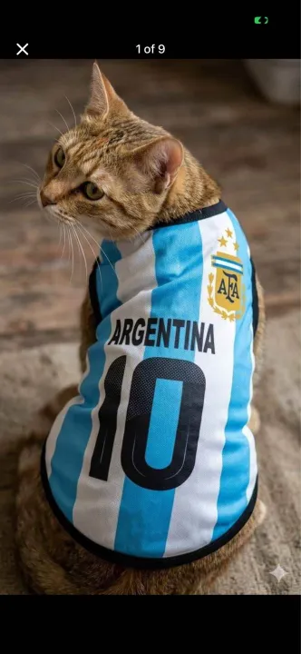Argentina%20Brazil%202026%20world%20cup%20cat%20jersey%20-%20Image%204