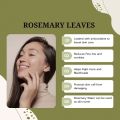 Organic Rosemary Leaves 30 grams | Best for Hair Growth - Nashpati Organics. 