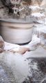 Corn Flour/Makai ka desi Aata, Made in Traditional Water mill  Ararot (Corn Starch) 2kg. 