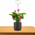 LED Grow Light USB 5V Full Spectrum Plant Growing Lamp Indoor Plants Seedlings Succulents Timer Dimmable Brightness Plant. 