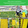 Fly Paper Stickers for Indoor House Plant, Fungus Killer Trap Gnat Catcher, Yellow Double Side Sticky Trap for Gnat, Fruit Fly,. 