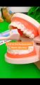 Grip shape Bristles toothbrush 3 side toothbrush non-slip china. 