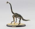Assemble Dinosaur Bones Triceratops Skeleton  Mammoth Mammuthus Assembled  Tyrannosaurus Rex Puzzles  Toys. 
