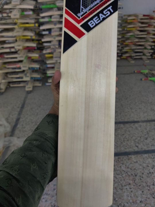 Beast%20Hard%20Ball%20Bat%20-%20Image%204