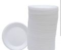 pack of 15 styrofoam disposible big biryani plate. 