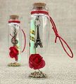 Valentine Love Message Bottle. 