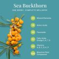 Sea Buckthorn Berry Juice 500ml Natural Pure Pulp and Powerful Antioxidants. 