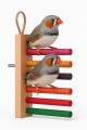 Colorful Wooden Bird Perch Stand – 6 Multicolor Rods Sitting Stand for Small Birds | Finch, Budgie, Lovebird, Canary, Parrotlet. 