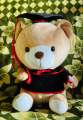 Graduation Teddy Bear 22cm Plush Stuffed Animal Stuffed Animal Bear with Graduation Hat, Diploma and Degree , Graduation Preschool Kindergarten Gift for Friend, Relatives, Kids. 