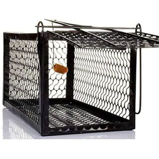 Mouse trap cage