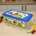 BP Big Size Freezer Food Storage Box 4000ml (Food Grade.