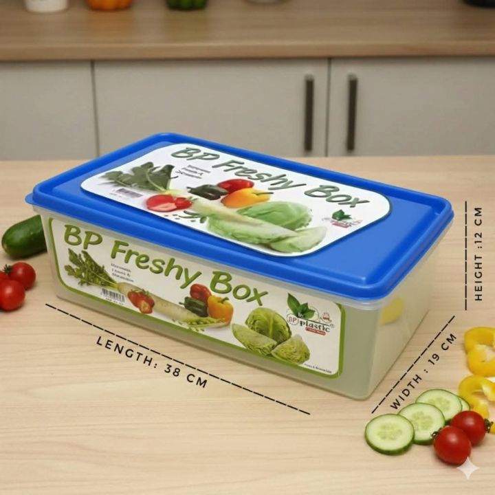 BP Big Size Freezer Food Storage Box 4000ml (Food Grade