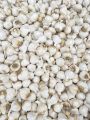 Lehsan G1 For Kitchen Use (1Kg.Garlic G1.). 